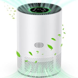 Pet air purifier with negative ions for formaldehyde removal odor removal air filtration
