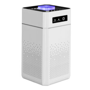 Air purifier negative ion formaldehyde removal odor filter USB portable deodorizer